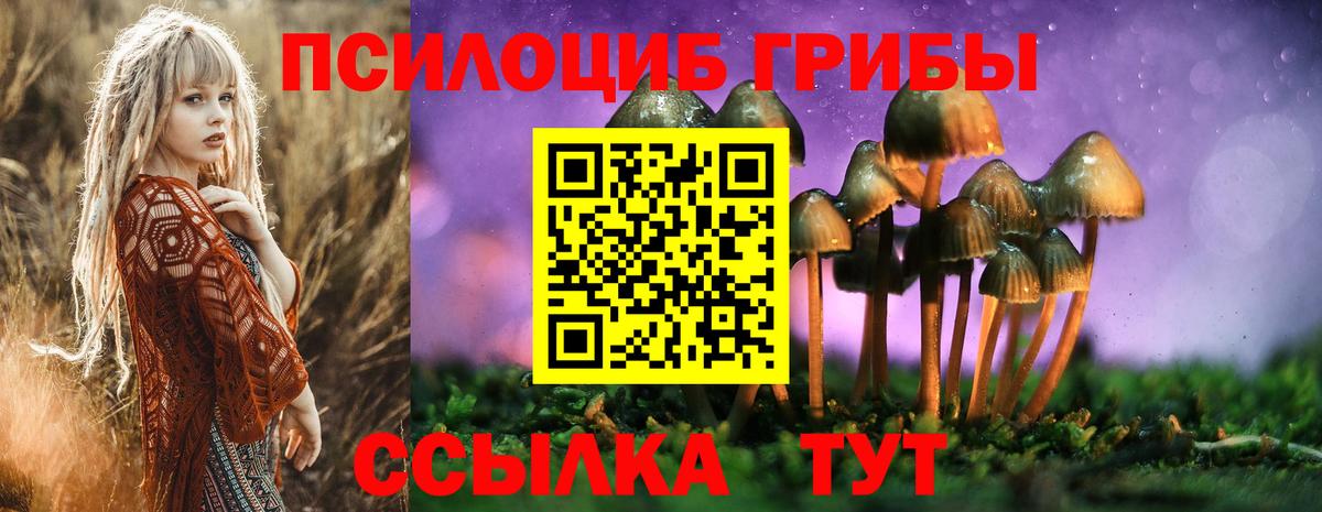 Галлюциногенные грибы Psilocybine cubensis Бирск