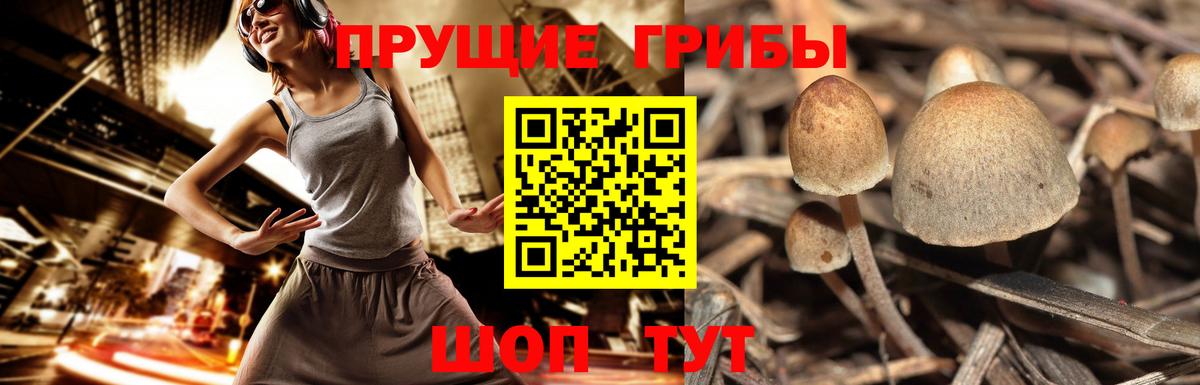 Бирск  Псилоцибиновые грибы Psilocybine cubensis  Вход с VPN  купить наркоту  Галлюциногенные грибы ЛСД 